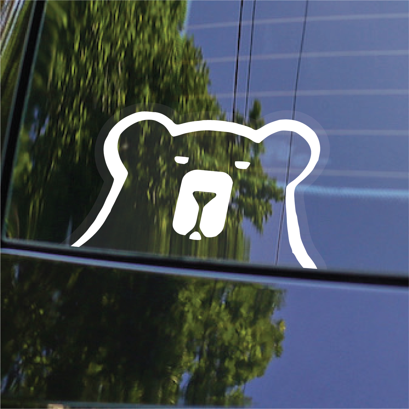 Salty Bear Brewing Car Decals