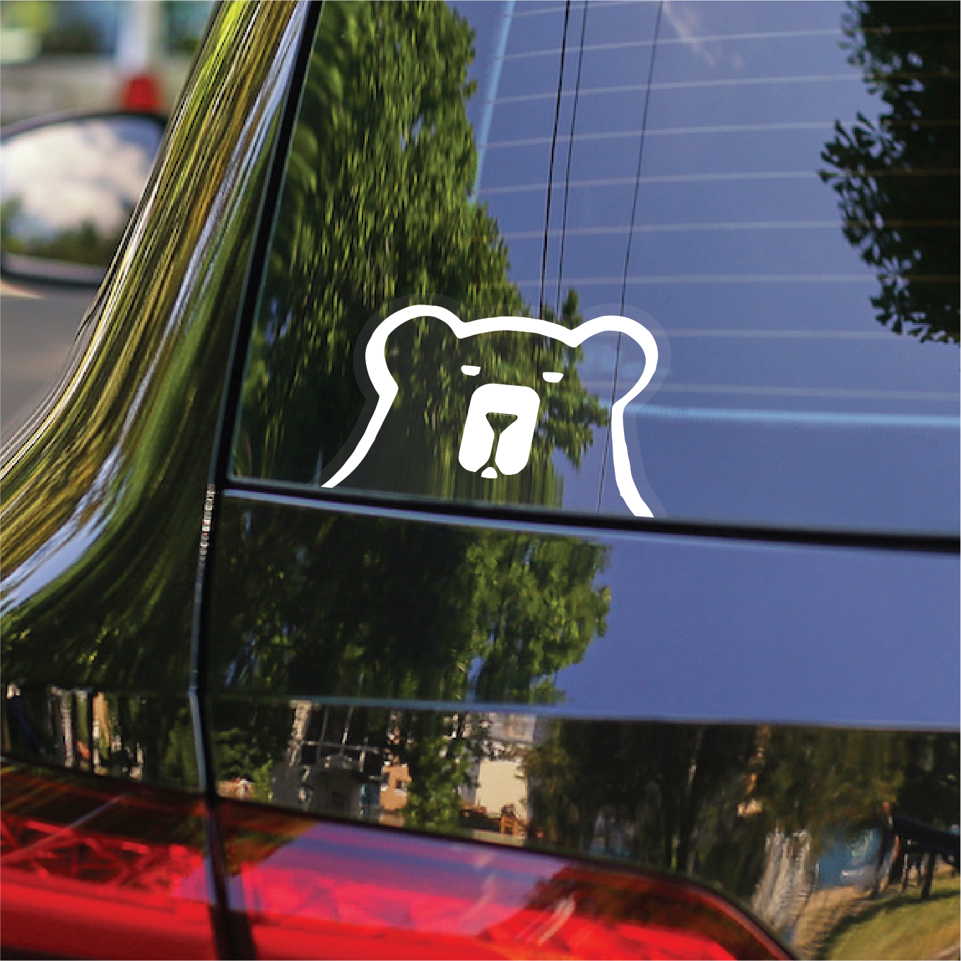 Salty Bear Brewing Car Decals